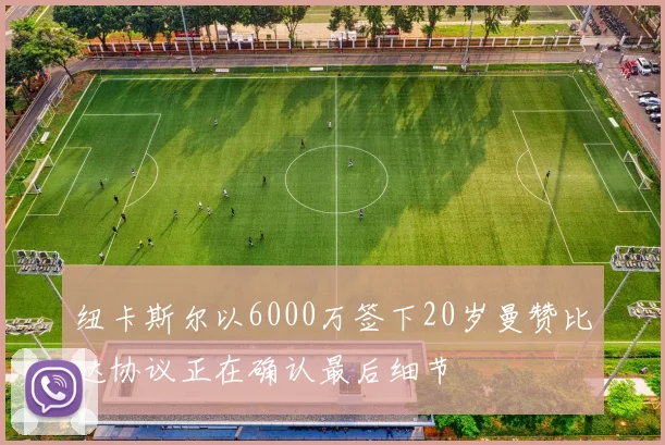 纽卡斯尔以6000万签下20岁曼赞比达协议正在确认最后细节